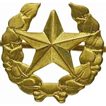ARMÁDNÍ ORIGINÁL ČSLA Odznak ČSLA vševojskový zlatý