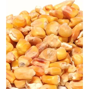 Chov hospodářského zvířete ZRNO - KUKUŘICE 10kg