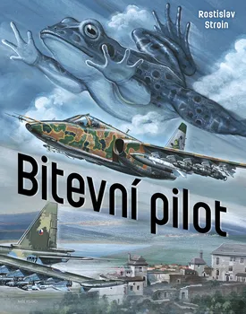 Literární biografie Bitevní pilot - Rostislav Stroin (2022, pevná)