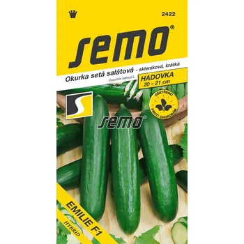 Semeno Emile salátová okurka