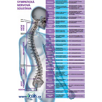 Přírodní produkt Sympatická nervová soustava - A3
