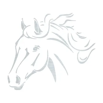 Samolepící dekorace SAMOLEPKA Kůň 092 levá (61 - škrábaný hliník) NA AUTO, NÁLEPKA, FÓLIE, POLEP, TUNING, VLASTNÍ TEXT, TISK, AUTOSAMOLEPKY.cz, POLEPY, OBRÁZEK, LOGO, SAMOLEPKY