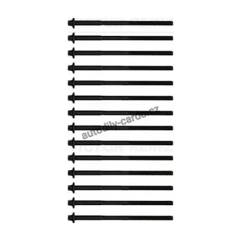 Těsnění motoru Sada šroubů pro hlavy válcu VICTOR REINZ (VR 14-32365-01)