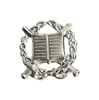 ARMÁDNÍ ORIGINÁL AČR Odznak rozlišovací spisová a archivní služba stříbřitý (stříbrný) AČR