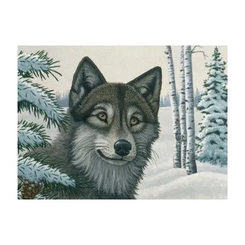 Malování podle čísel - senior 40x32cm Vlk ve sněhu