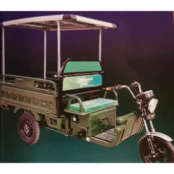 Elektrotříkolka Fotovoltaická střecha pro elektrické tříkolky Cargo 500