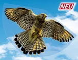 Günther GmbH & Co. Létající drak SOKOL - FALKE