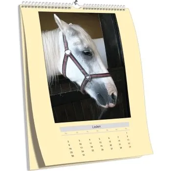 Fotokalendář Nástěnný kalendář NKN-63 (dříve NKZ-03) (A3)