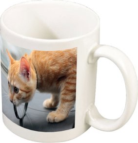 Foto hrnek bílý (Normal)