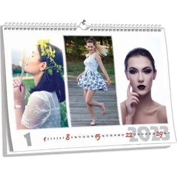 Fotokalendář Nástěnný kalendář NKN-17 (A3)