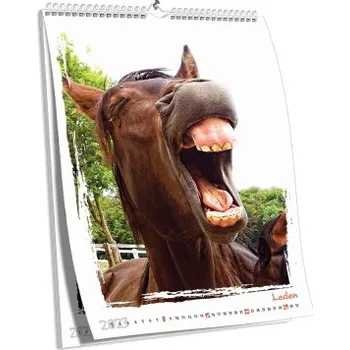 Fotokalendář Nástěnný kalendář NKN-11 (A4)