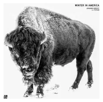 Zahraniční hudba LP Fetsum: Winter In America CLR 2021 Coloured White Vinyl