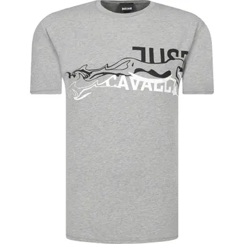 Pánské tričko Just Cavalli Tričko | Barva:šedý | Velikost:L