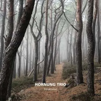Zahraniční hudba CD Hornung Trio: Strukturen 2022