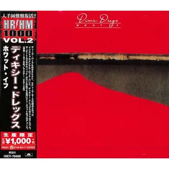 Zahraniční hudba Dixie Dregs - What If (CD, UICY79400)