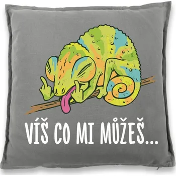 Dekorativní polštářek Vtipný polštářek Víš co mi můžeš..., Barva Šedá, Velikost 40×40 cm, Canvas Bavlněný polštář Bezvatriko.cz 1030 - DTF/DTG