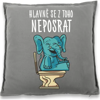 Dekorativní polštářek Vtipný polštář Hlavně se z toho neposrat, Barva Šedá, Velikost 40×40 cm, Canvas Bavlněný polštář Bezvatriko.cz 1040 - DTF/DTG
