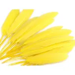 Kachní peří délka 9-14 cm - 20ks Barva: žlutá