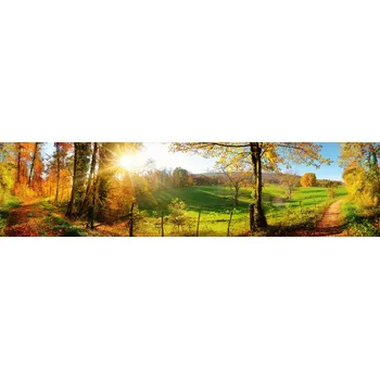 Příslušenství pro sporák DIMEX PGT-24060-083 240 x 60 cm plexisklo za kuchyňskou linku louka