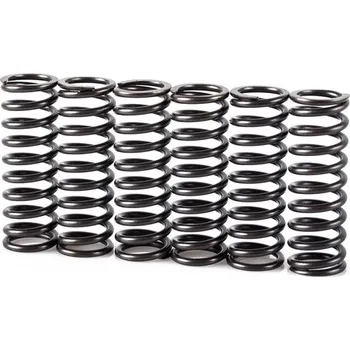 Spojková sada Pružiny spojky sada MOTION STUFF STF-501-5027