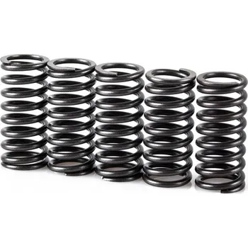 Spojková sada Pružiny spojky sada MOTION STUFF STF-501-5005