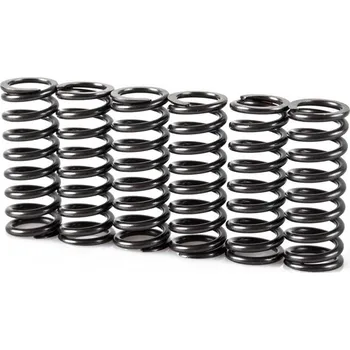 Spojková sada Pružiny spojky sada MOTION STUFF STF-501-5012