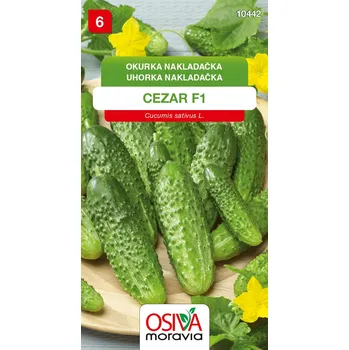 Semeno Okurka nakladačka - Cezar F1