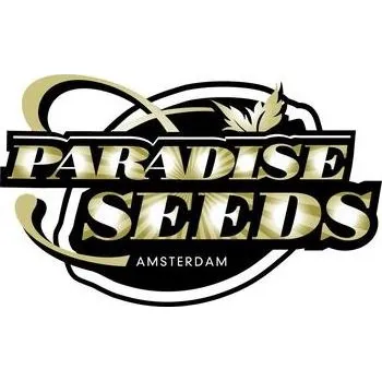 Semeno Paradise seeds Apricot Candy Počet ks Feminizované: 3