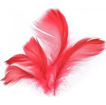 Peří - červené - 10 g - 229008