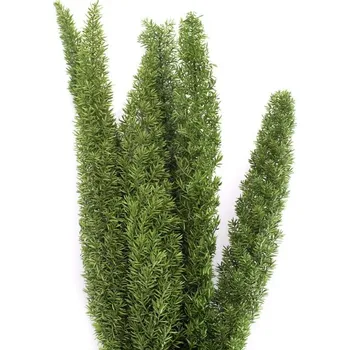 umělá květina Stabilizovaná rostlina Fox Tail Green 30-40 cm