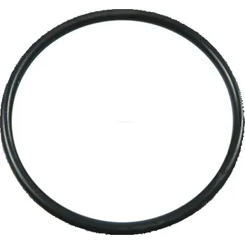 Autoelektrika Těsnící O-kroužek AS-PL ARS2011