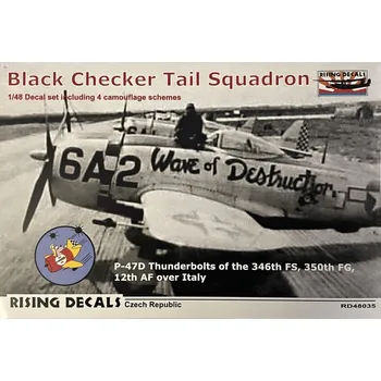 Plastikový model 1/48 Decal Black Checker Tail Sqdr. (4x camo)