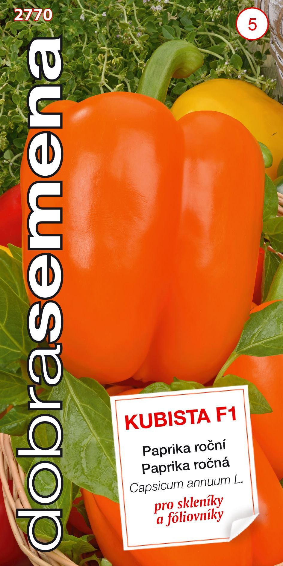 Dobr Semena Kubista F1 Paprika Oran ov Zeleninov 15 Ks Od 39 K 