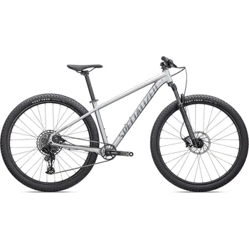 Horské kolo Specialized Rockhopper Expert 29" Satin Silver Dust/Black Holographic 2022