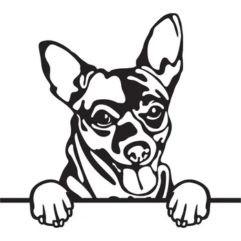 Vsepropejska Čivava 12 dřevěná dekorace na zeď Rozměr (cm): 38 x 34