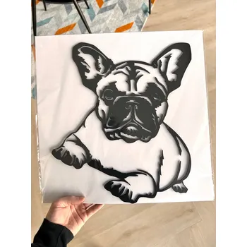 Vsepropejska Francouzský buldoček 6 dřevěná dekorace na zeď Rozměr (cm): 38 x 38