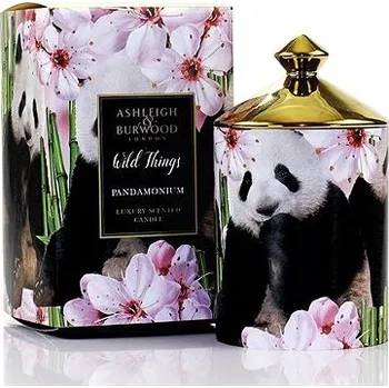 Svíčka ASHLEIGH & BURWOOD WILD THINGS - GREEN BAMBOO (zelený bambus), 320 g, PANDAMONIUM