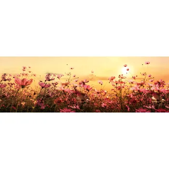 Fototapeta DIMEX KI-180-130 180 x 60 cm