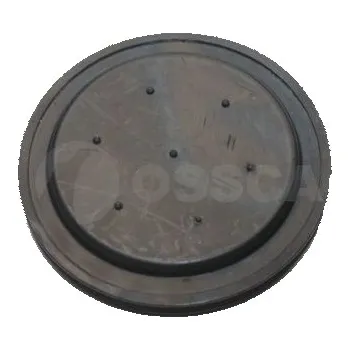 Nářadí pro automobil Kryt příruby, automatická převodovka O.S.C. 020 409 289 B