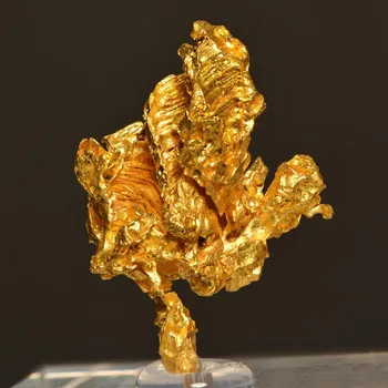 Přírodní kámen Krystalované zlato z Brazílie 23x17mm