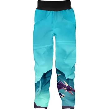 Chlapecké kalhoty WAMU® ČR Dětské softshellové kalhoty WAMU Dragon Fantasy Velikost: 140/146