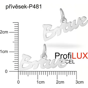Přívěsek Přívěsek Chirurgická Ocel ozn-P481 nápis BRAVE s očkem velikost 24x13mm tl.1.2mm. Řada přívěsků ProfiLUX.