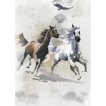 Fototapeta Fototapeta vliesová IAX4-0030 Wild Ride 200x280 cm