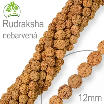 Dětské navlékací korálky Korálky exotická semínka Rudraksha nebarvená velikost 12mm. Balení 5Ks