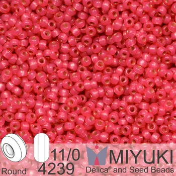 Korálek Korálky Miyuki Round 11/0. Barva 4239 Duracoat Dyed Hibiscus S/L Alabaster. Balení 5g.