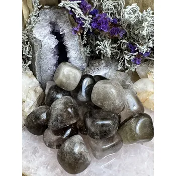 Záhněda tromlovaná větší