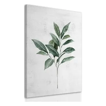 Obraz Obraz na plátně ZELENÝ LIST 40x60 cm Ludesign