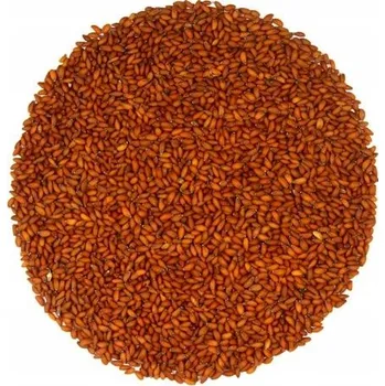 Semeno Bestent Řeřicha na nakličování 5g vzorek