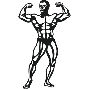 samolepka Samolepka Kulturista II.
