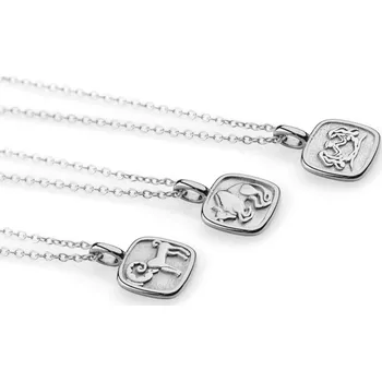 Náhrdelník franco bene Náhrdelník se znamením zvěrokruhu - stříbrný | 2047 Znamení zvěrokruhu: Vodnář